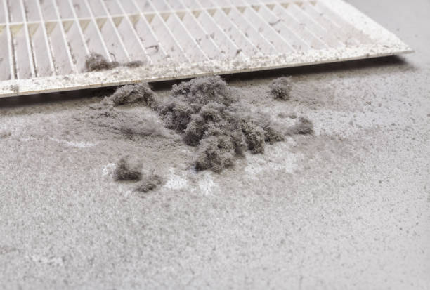 Best Ventilation Cleaning Services  in Blackfoot, ID