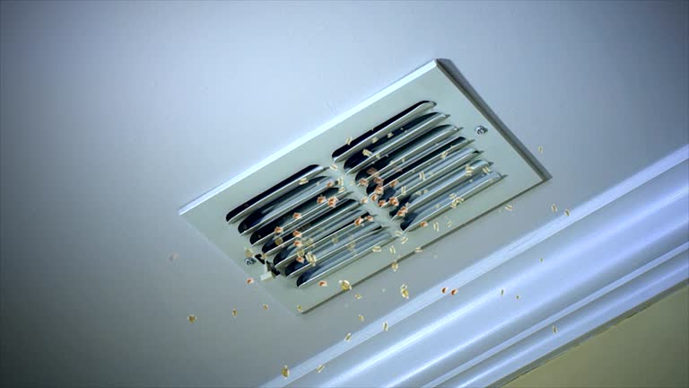 Best Best Air Duct Cleaning Company  in Blackfoot, ID